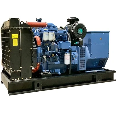 Kev ntsiag to Generator rau Kev Siv Hauv Tsev
